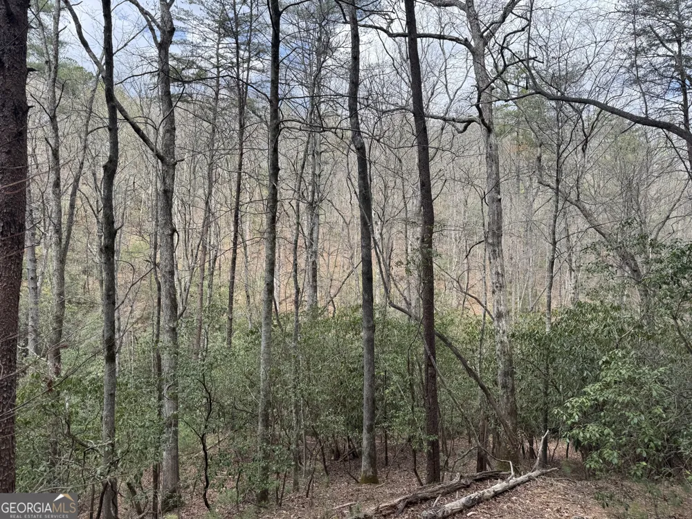 0 Grizzly Bear TRL Sautee Nacoochee, GA 30571