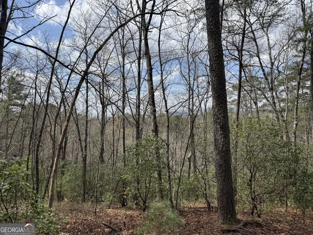 0 Grizzly Bear TRL Sautee Nacoochee, GA 30571