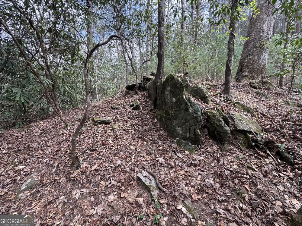 0 Grizzly Bear TRL Sautee Nacoochee, GA 30571