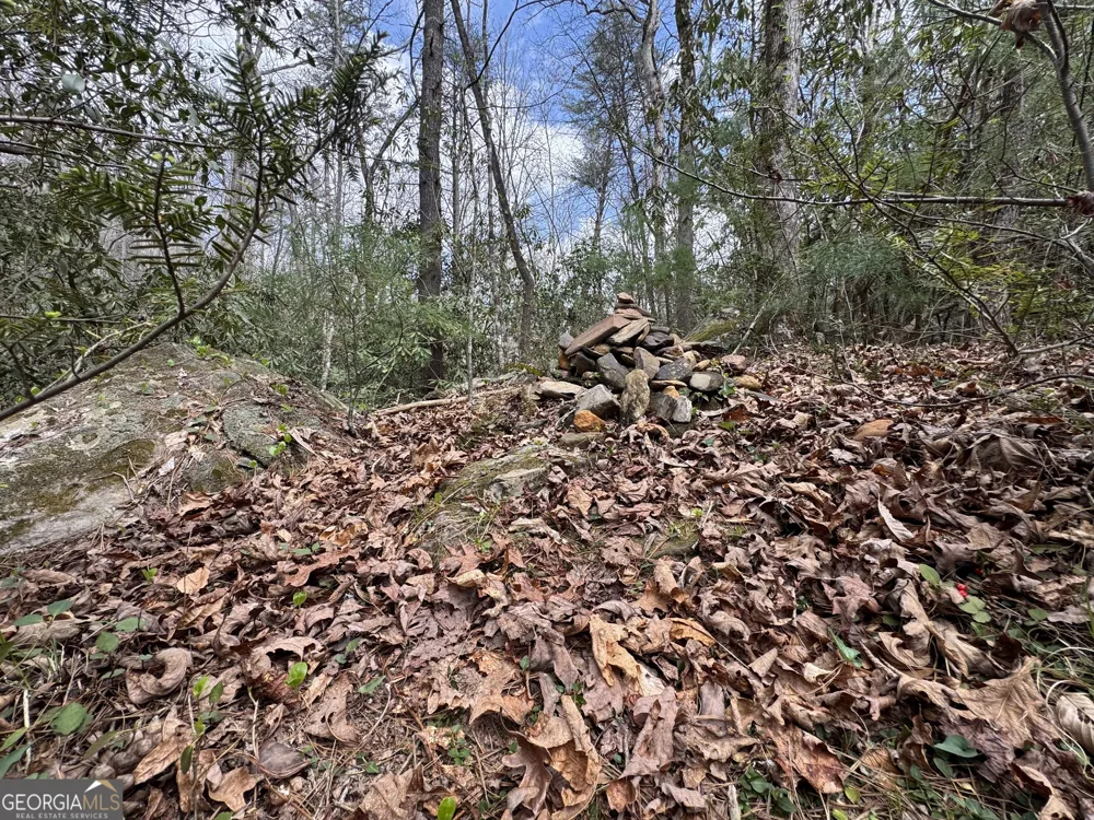 0 Grizzly Bear TRL Sautee Nacoochee, GA 30571