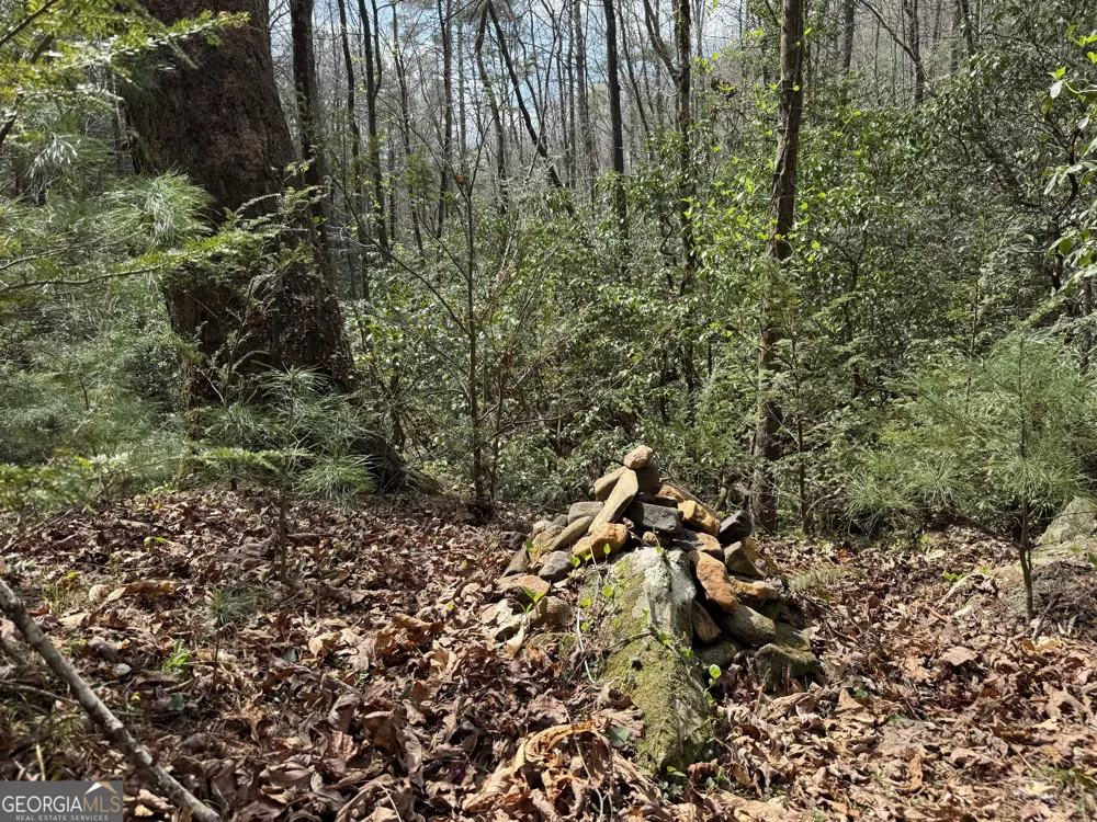 0 Grizzly Bear TRL Sautee Nacoochee, GA 30571