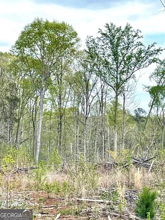 0 Fullerton-Phillips RD Hillsboro, GA 31038