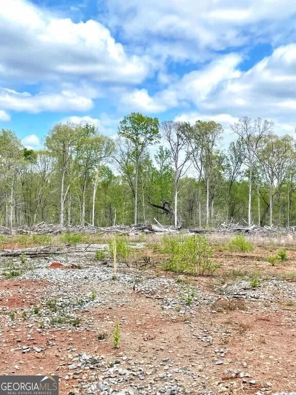 0 Fullerton-Phillips RD Hillsboro, GA 31038