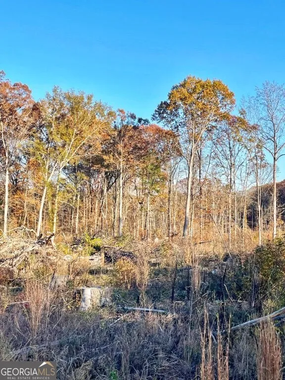 0 Fullerton-Phillips RD Hillsboro, GA 31038
