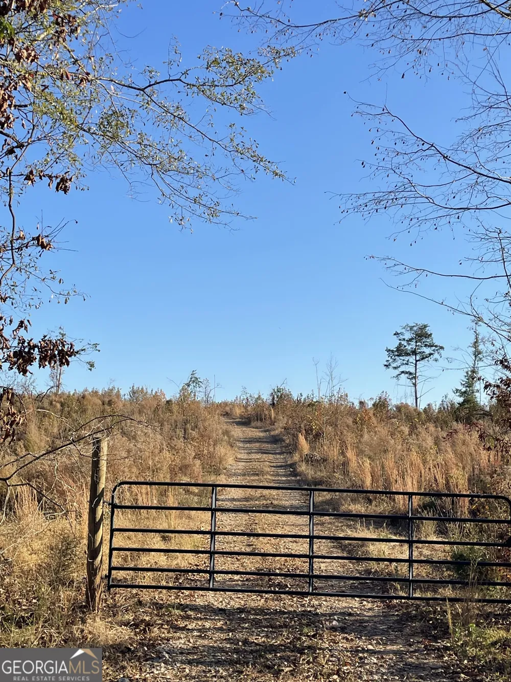 0 Fullerton-Phillips RD Hillsboro, GA 31038