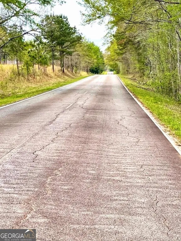 0 Fullerton-Phillips RD Hillsboro, GA 31038