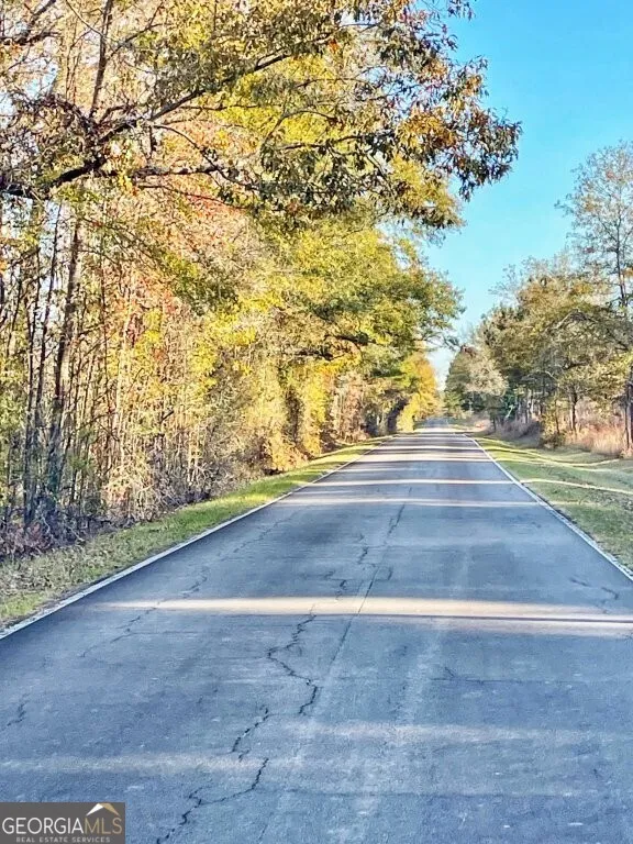 0 Fullerton-Phillips RD Hillsboro, GA 31038