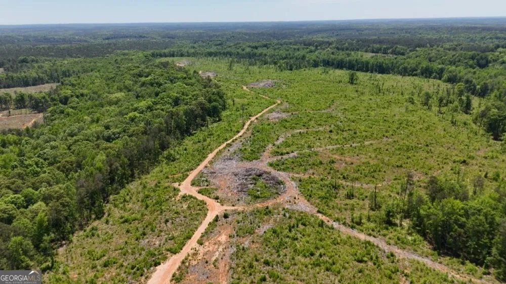 0 Fullerton-Phillips RD Hillsboro, GA 31038