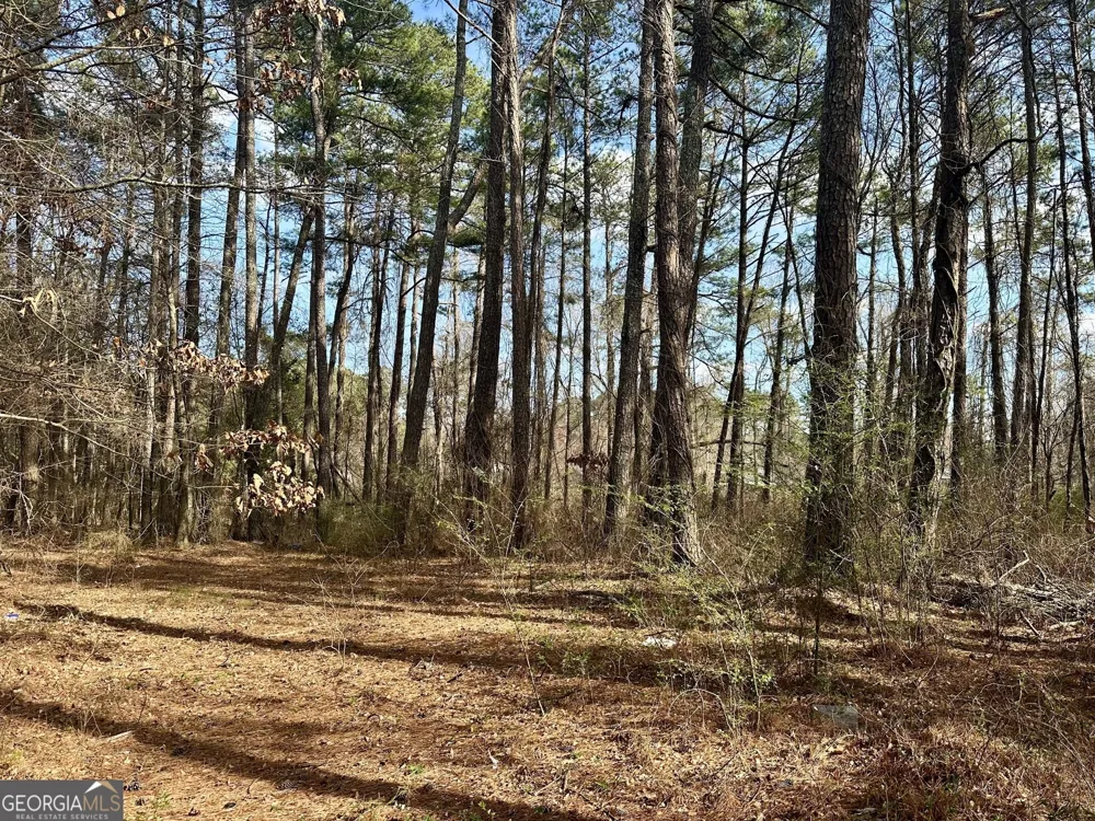 10891 Veterans Memorial HWY Lithia Springs, GA 30122