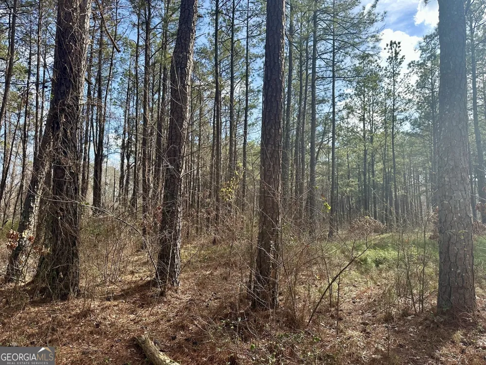10891 Veterans Memorial HWY Lithia Springs, GA 30122