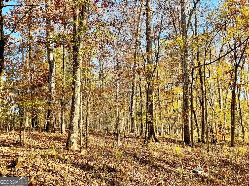 0 Fullerton-Phillips RD Hillsboro, GA 31038