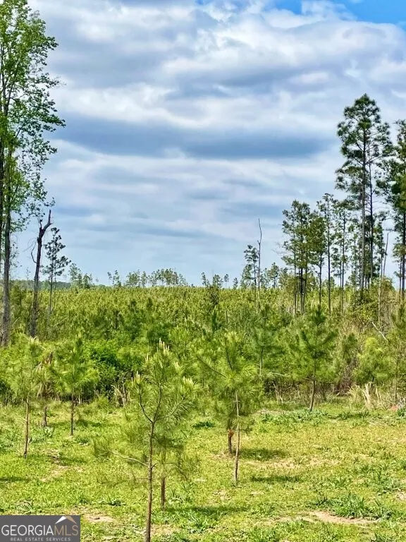0 Fullerton-Phillips RD Hillsboro, GA 31038