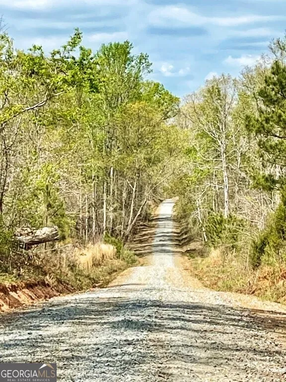 0 Fullerton-Phillips RD Hillsboro, GA 31038