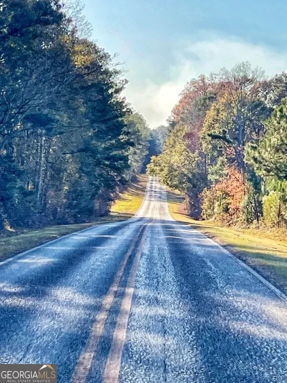 0 Fullerton-Phillips RD Hillsboro, GA 31038