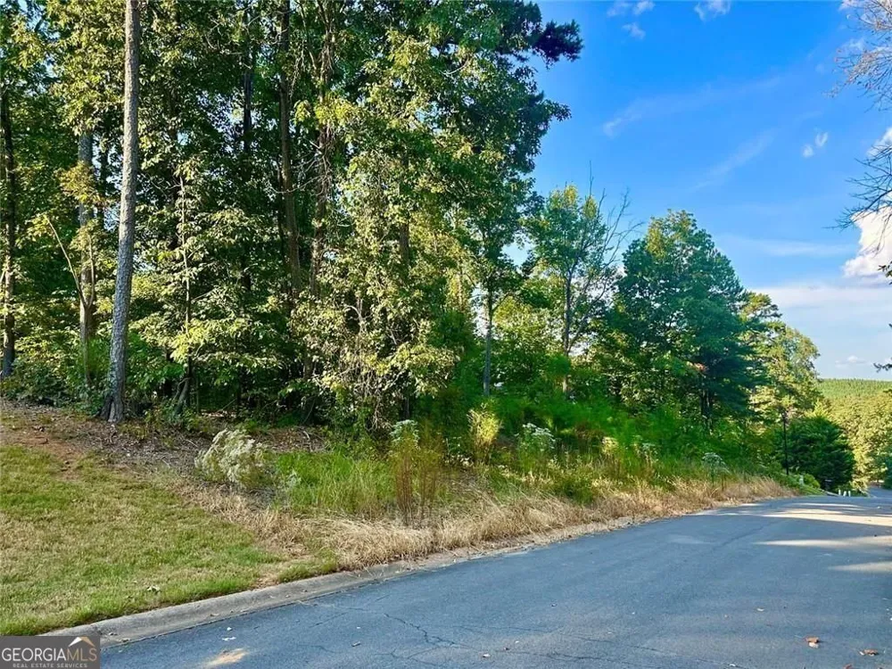 98 Magnolia CT Summerville, GA 30747