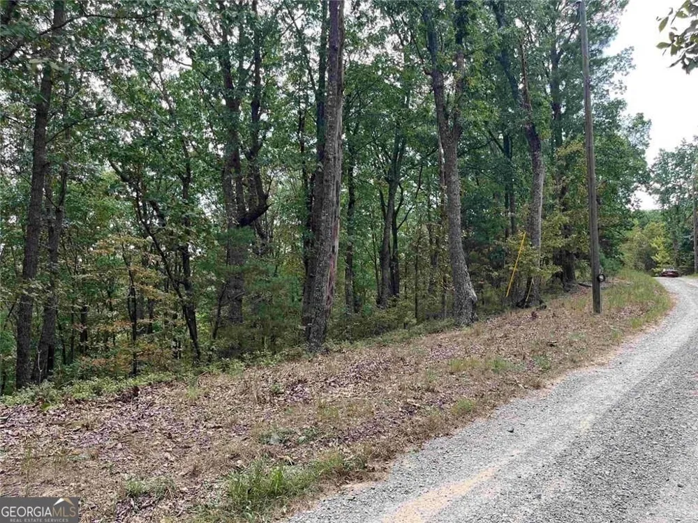 32 Antler CT Ranger, GA 30734