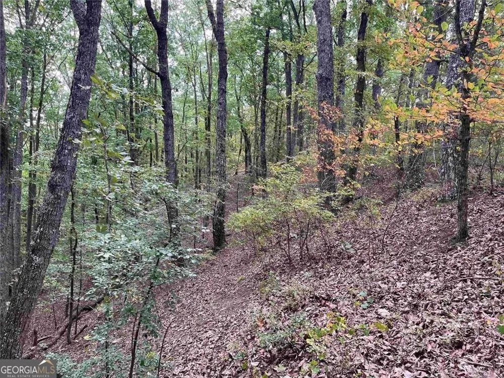 32 Antler CT Ranger, GA 30734