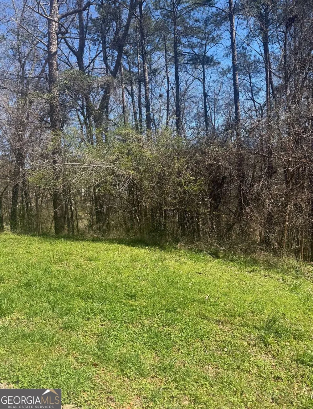 3740 Mountain Cove RD Snellville, GA 30039