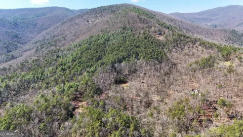 LOT 5 AND LOT 6 Chimney Mountain RD