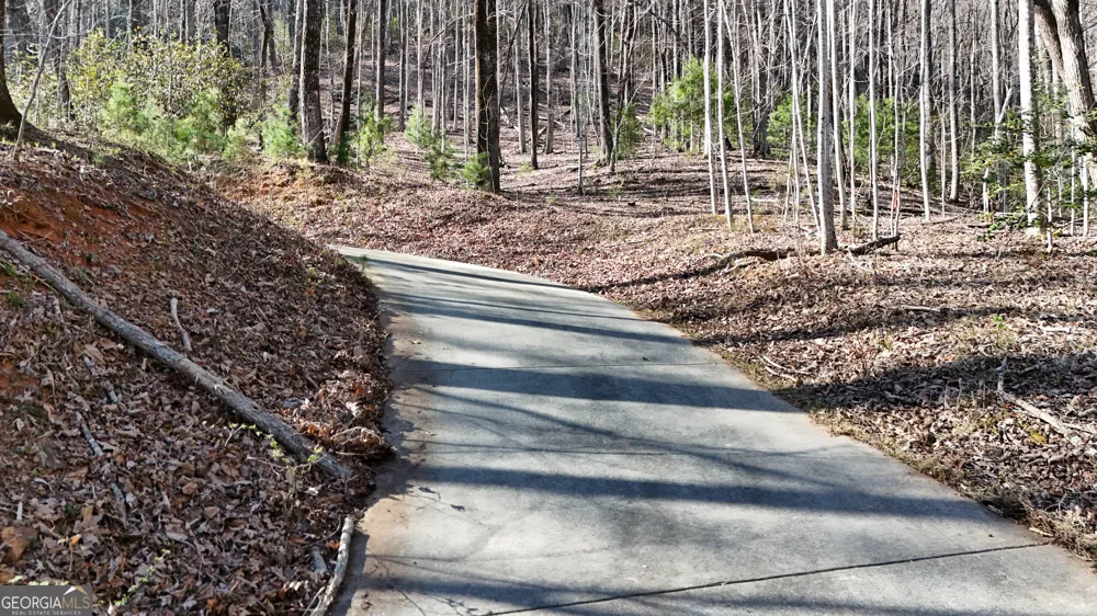 LOT 5 AND LOT 6 Chimney Mountain RD Sautee Nacoochee, GA 30571