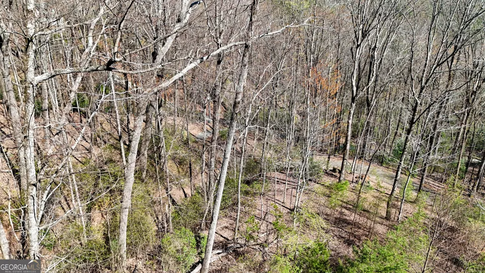 LOT 5 AND LOT 6 Chimney Mountain RD Sautee Nacoochee, GA 30571