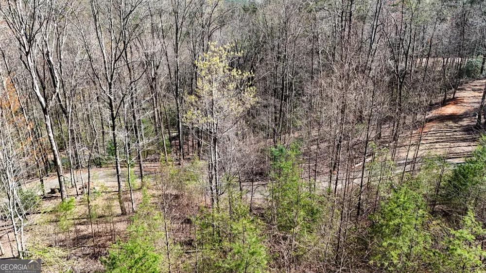 LOT 5 AND LOT 6 Chimney Mountain RD Sautee Nacoochee, GA 30571