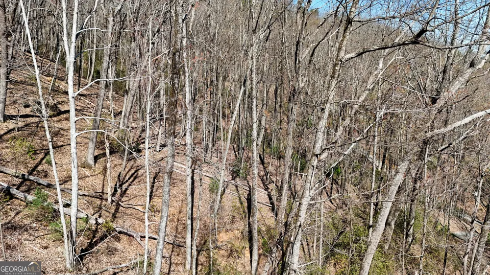 LOT 5 AND LOT 6 Chimney Mountain RD Sautee Nacoochee, GA 30571