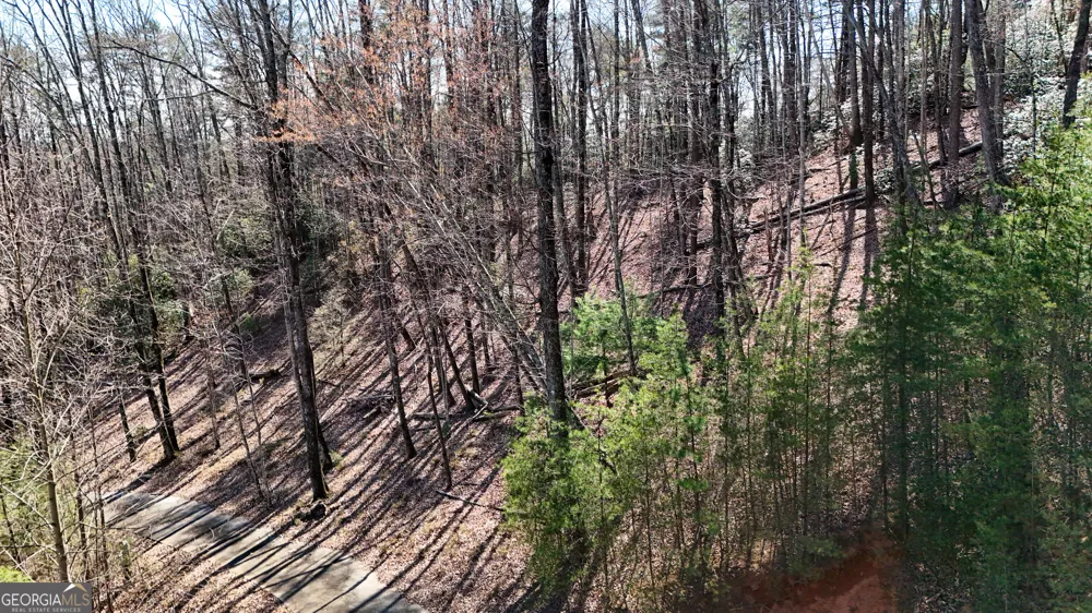 LOT 5 AND LOT 6 Chimney Mountain RD Sautee Nacoochee, GA 30571