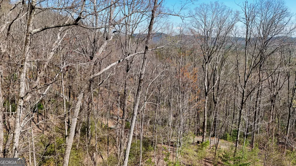 LOT 5 AND LOT 6 Chimney Mountain RD Sautee Nacoochee, GA 30571