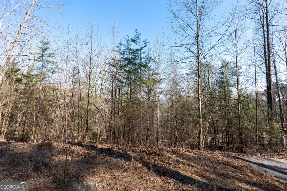 LOT 5 AND LOT 6 Chimney Mountain RD Sautee Nacoochee, GA 30571