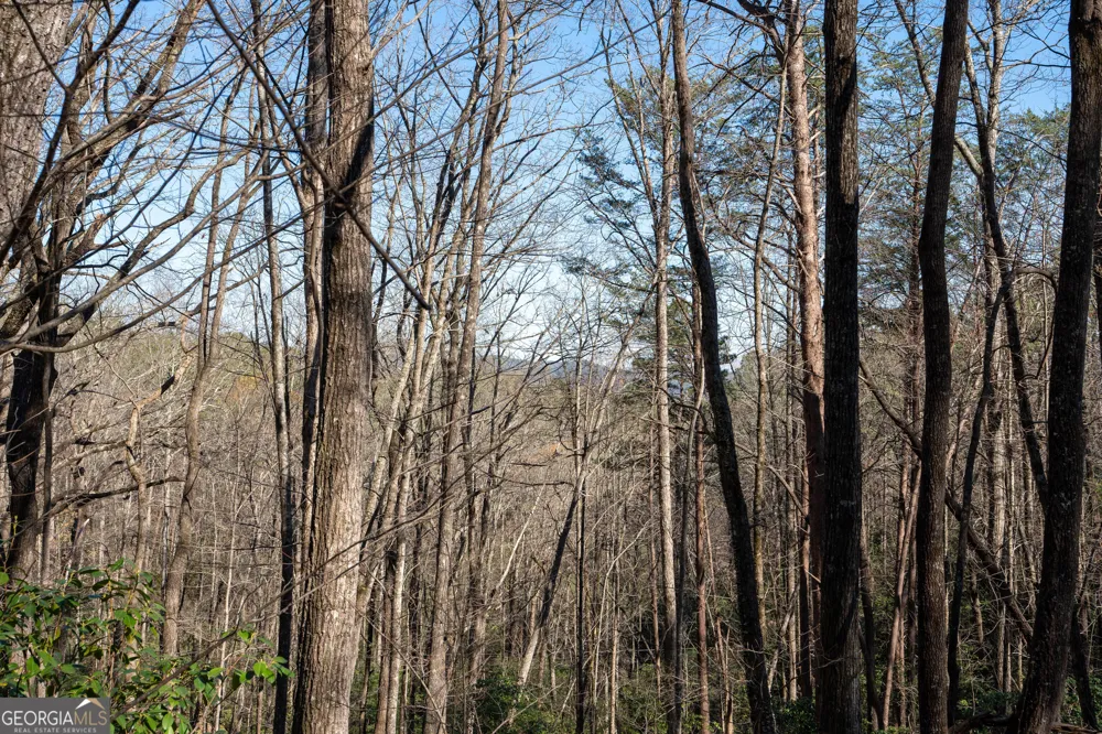 LOT 5 AND LOT 6 Chimney Mountain RD Sautee Nacoochee, GA 30571