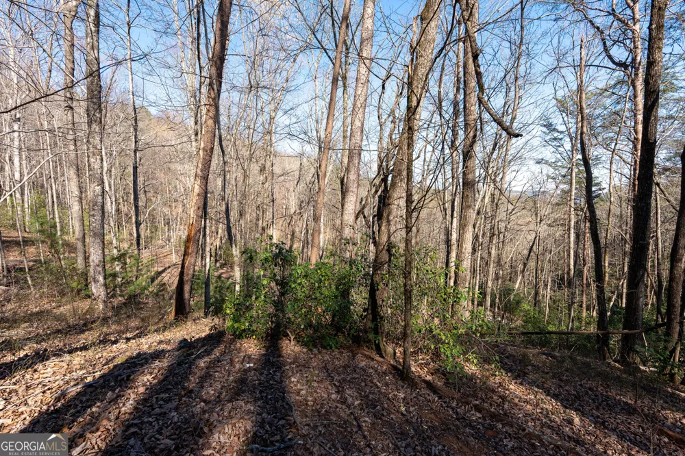 LOT 5 AND LOT 6 Chimney Mountain RD Sautee Nacoochee, GA 30571
