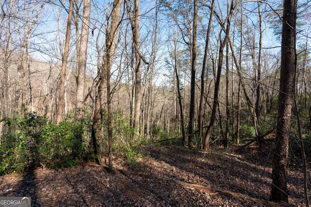 LOT 5 AND LOT 6 Chimney Mountain RD Sautee Nacoochee, GA 30571