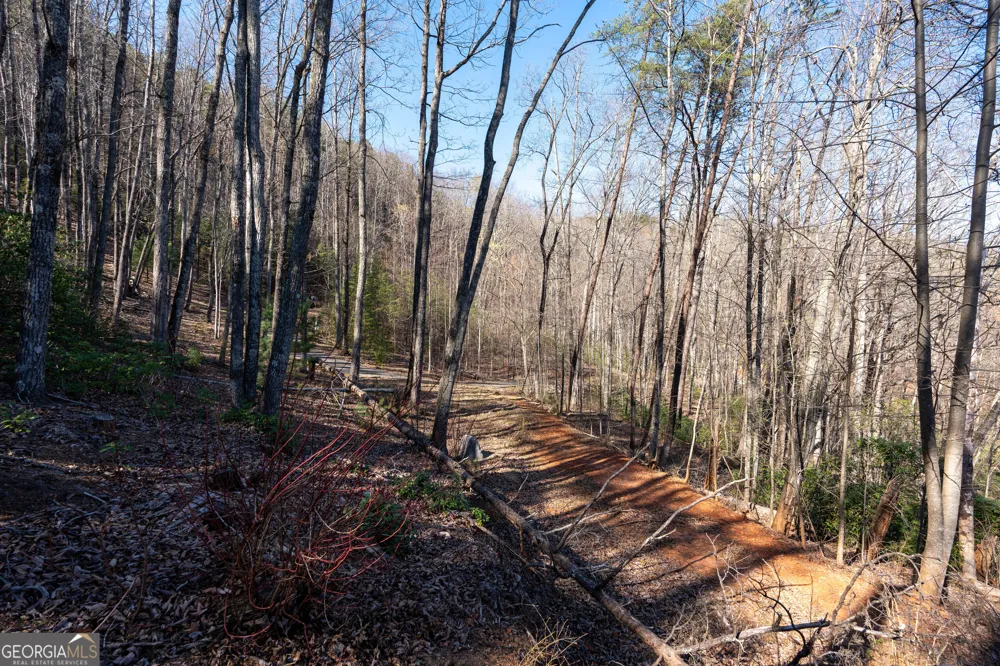 LOT 5 AND LOT 6 Chimney Mountain RD Sautee Nacoochee, GA 30571