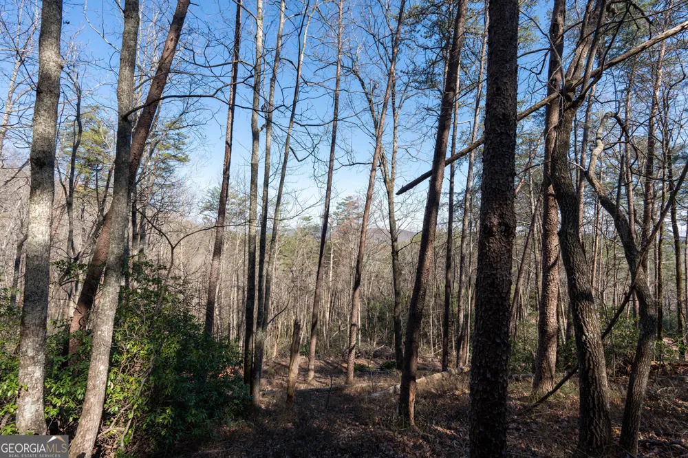 LOT 5 AND LOT 6 Chimney Mountain RD Sautee Nacoochee, GA 30571