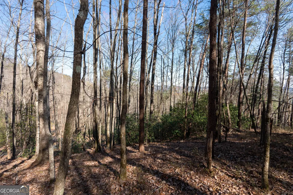 LOT 5 AND LOT 6 Chimney Mountain RD Sautee Nacoochee, GA 30571