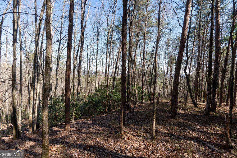 LOT 5 AND LOT 6 Chimney Mountain RD Sautee Nacoochee, GA 30571