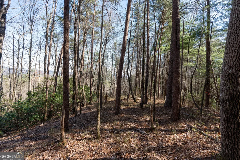 LOT 5 AND LOT 6 Chimney Mountain RD Sautee Nacoochee, GA 30571