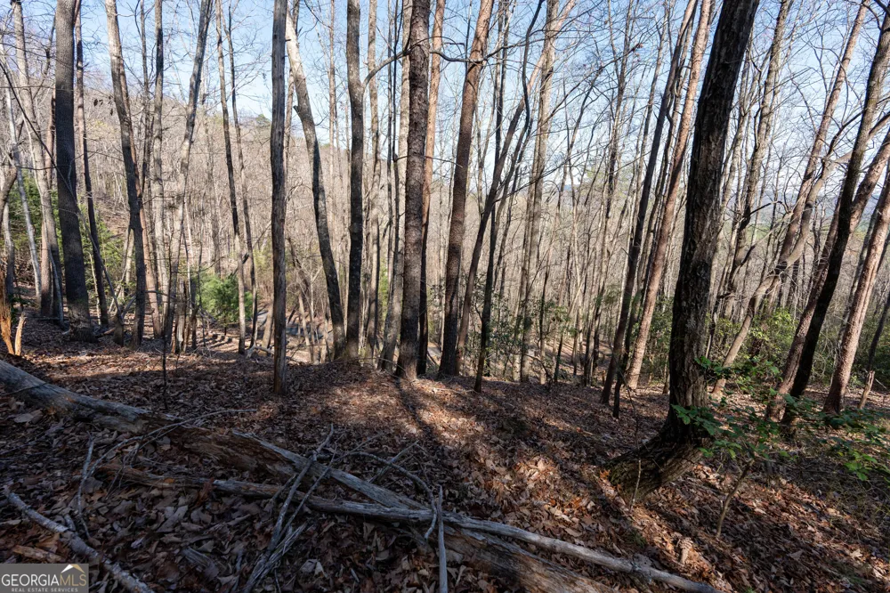 LOT 5 AND LOT 6 Chimney Mountain RD Sautee Nacoochee, GA 30571