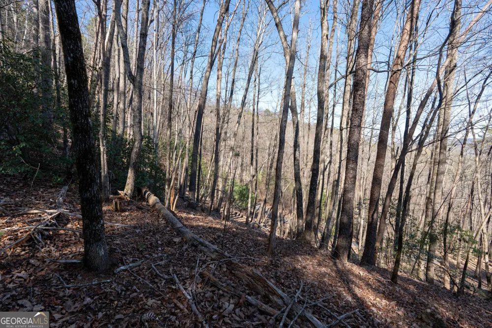 LOT 5 AND LOT 6 Chimney Mountain RD Sautee Nacoochee, GA 30571