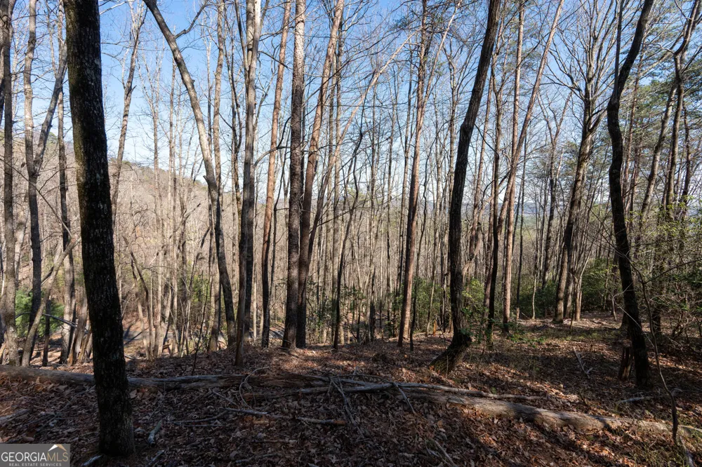 LOT 5 AND LOT 6 Chimney Mountain RD Sautee Nacoochee, GA 30571