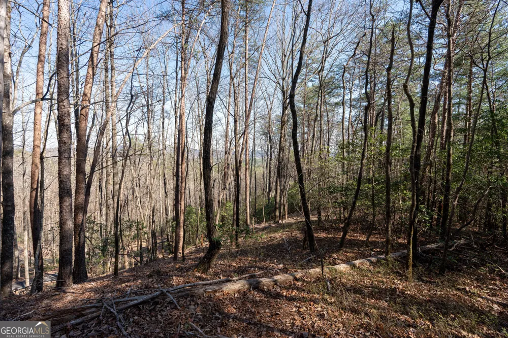 LOT 5 AND LOT 6 Chimney Mountain RD Sautee Nacoochee, GA 30571