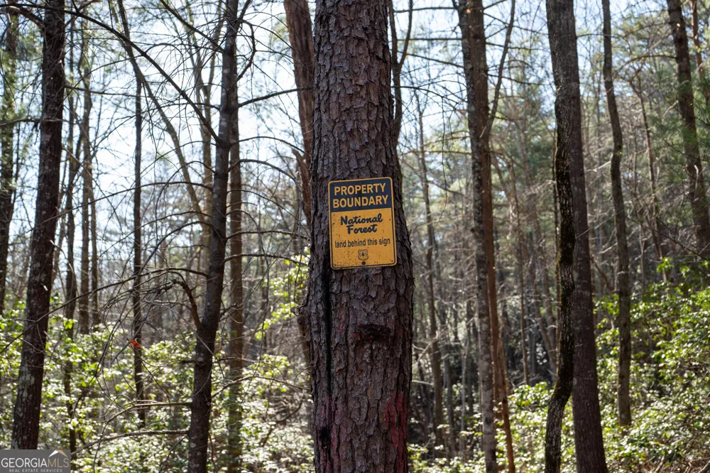 LOT 5 AND LOT 6 Chimney Mountain RD Sautee Nacoochee, GA 30571