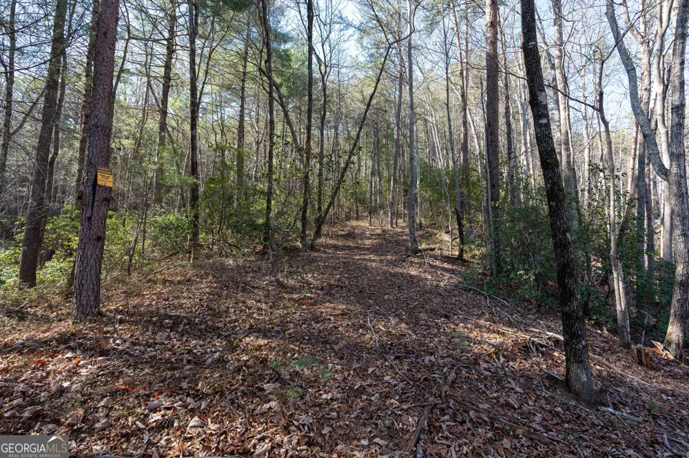 LOT 5 AND LOT 6 Chimney Mountain RD Sautee Nacoochee, GA 30571