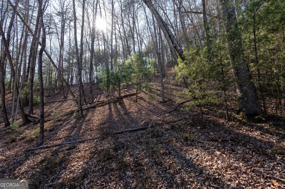 LOT 5 AND LOT 6 Chimney Mountain RD Sautee Nacoochee, GA 30571