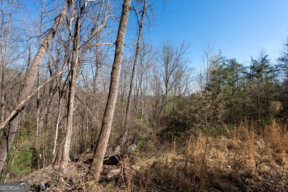 LOT 5 AND LOT 6 Chimney Mountain RD Sautee Nacoochee, GA 30571