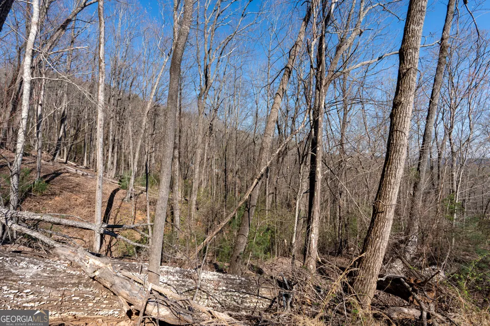 LOT 5 AND LOT 6 Chimney Mountain RD Sautee Nacoochee, GA 30571