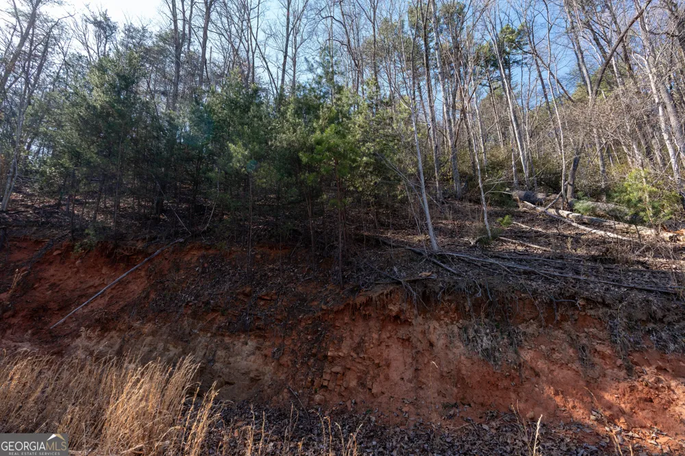 LOT 5 AND LOT 6 Chimney Mountain RD Sautee Nacoochee, GA 30571