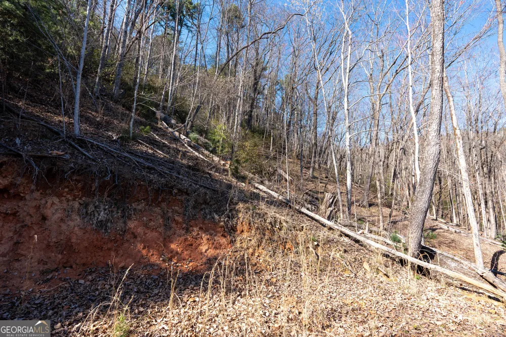 LOT 5 AND LOT 6 Chimney Mountain RD Sautee Nacoochee, GA 30571