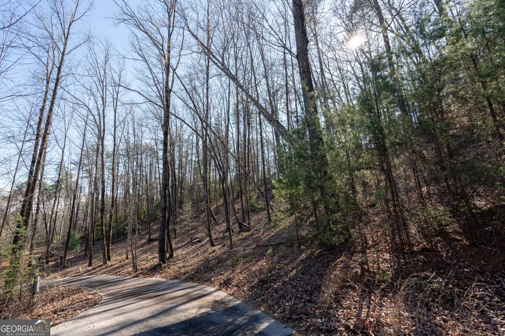 LOT 5 AND LOT 6 Chimney Mountain RD Sautee Nacoochee, GA 30571